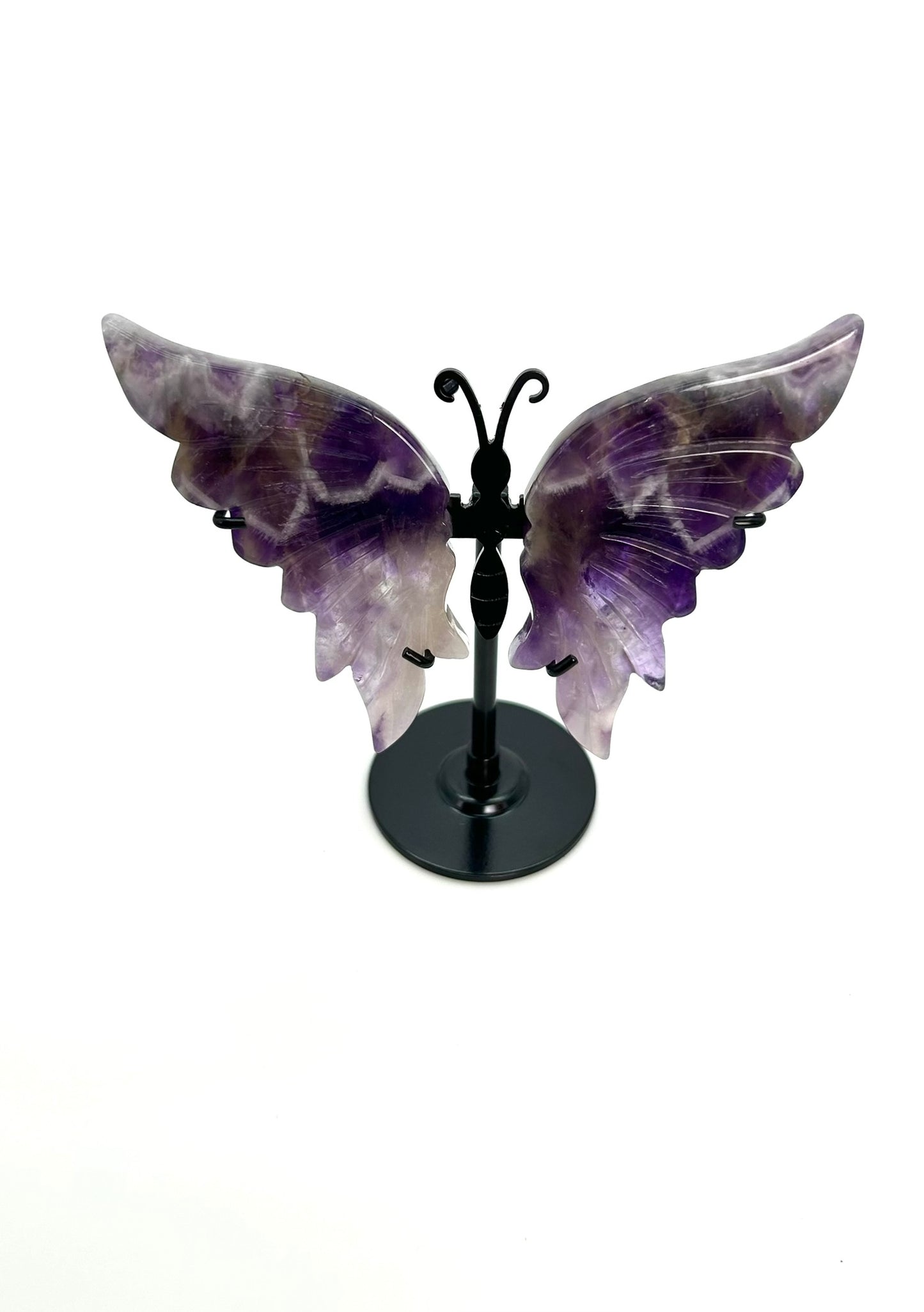 Chevron Amethyst Schmetterling