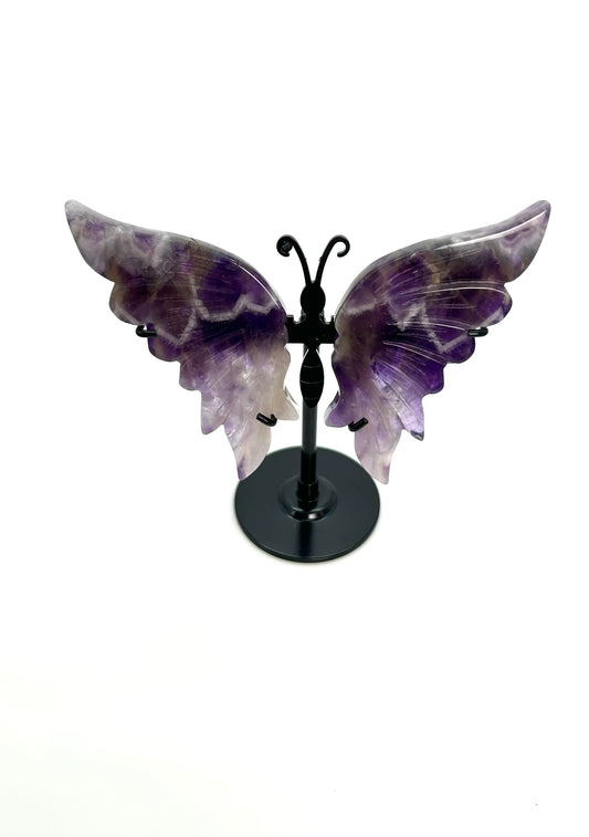 Chevron Amethyst Schmetterling