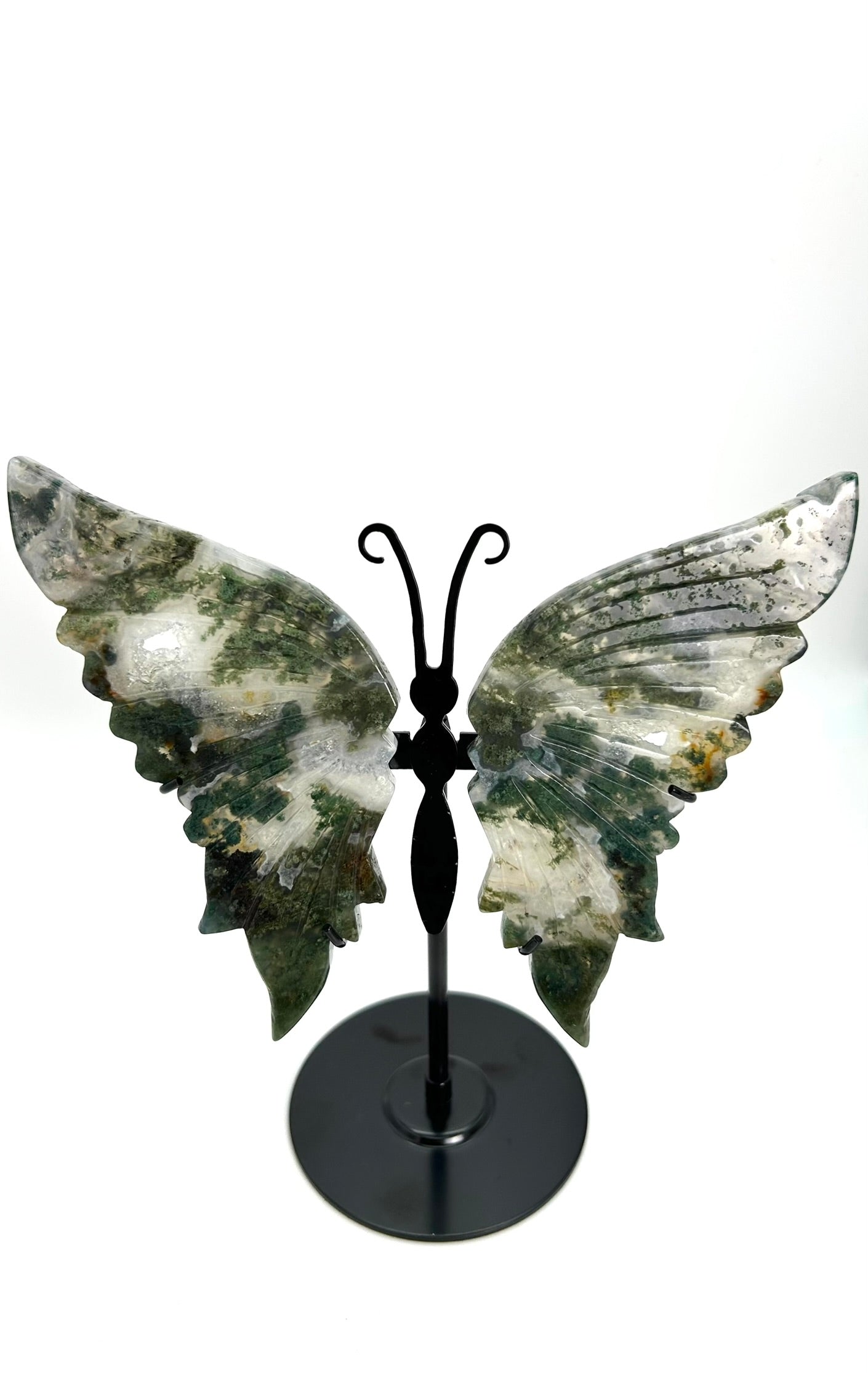 Moosachat Schmetterling