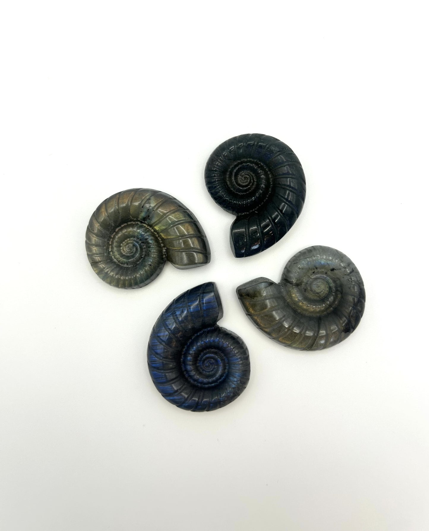 Labradorit Carving Ammonit