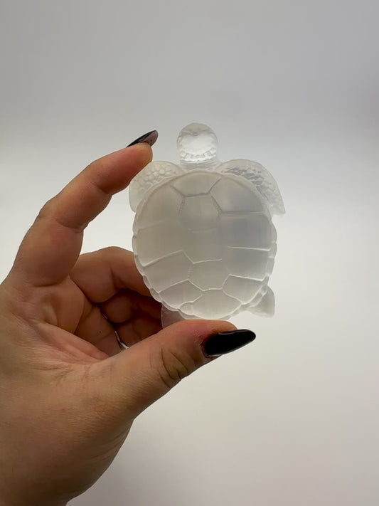 Selenit Schildkröte